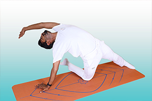 asana10