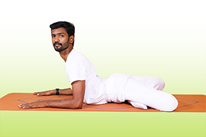 asana12